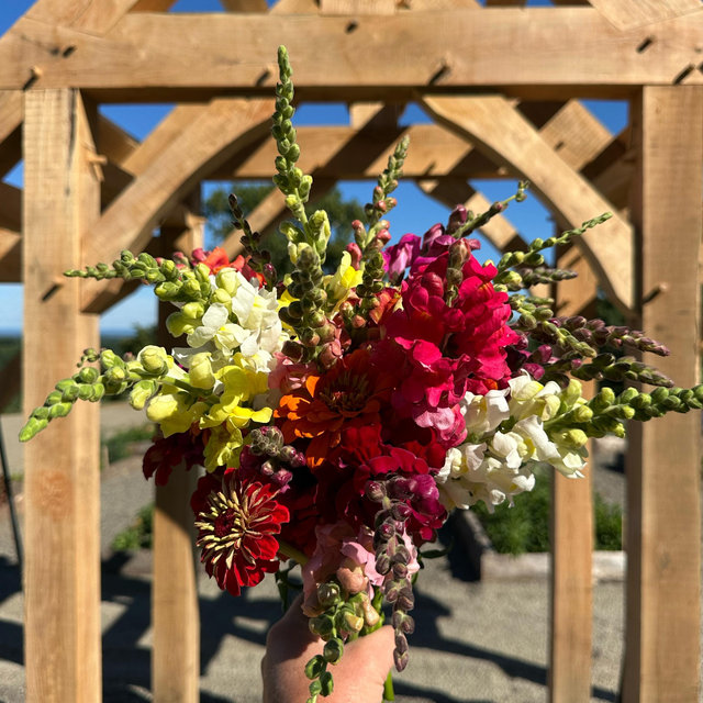 Windover Botanical Gardens And Orchard Registry