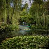 Grounds For Sculpture