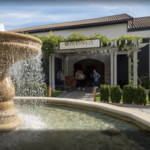 Merryvale Vineyards - Artisanal Wine and Cheese tasting