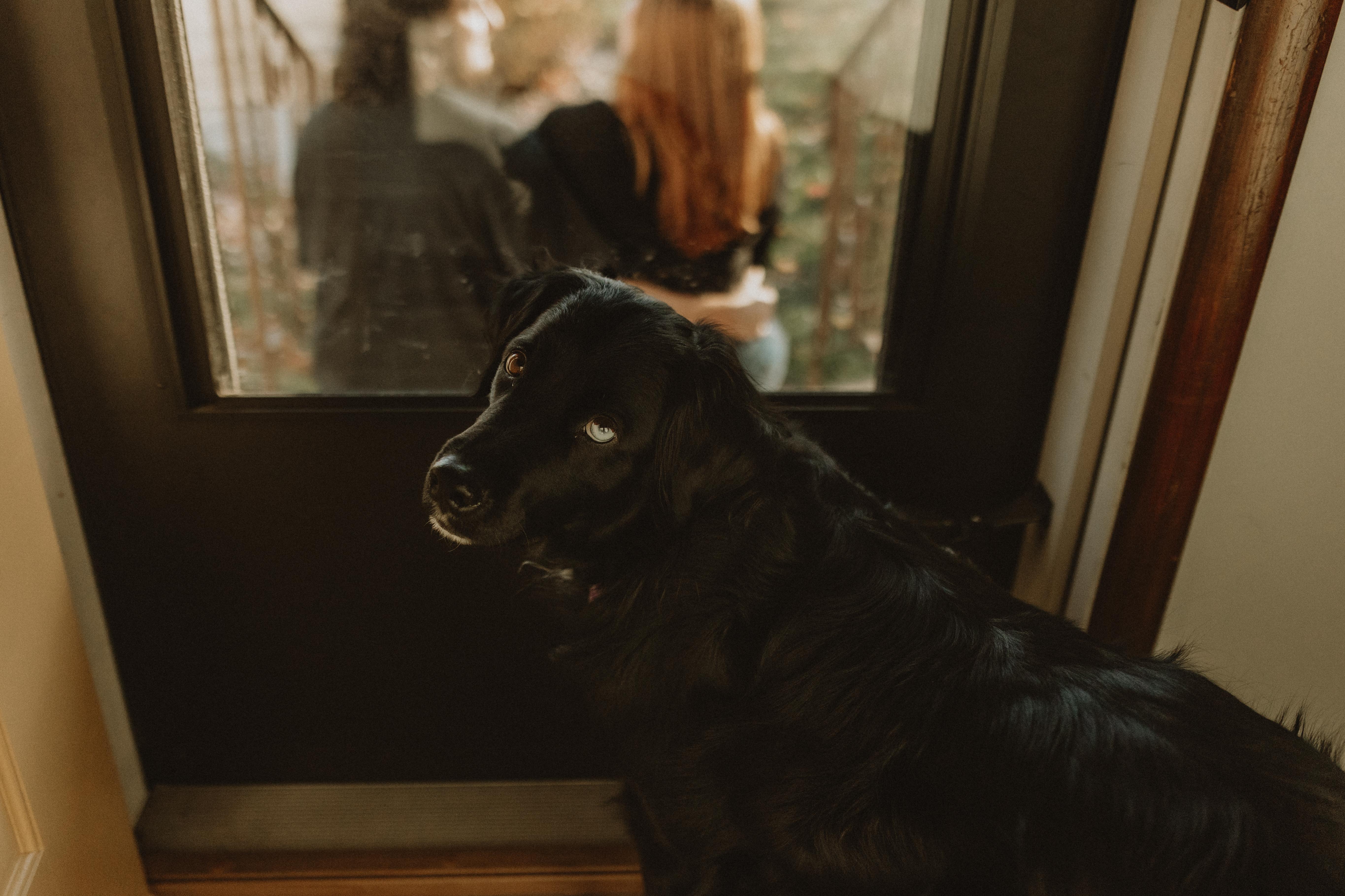 The Wedding Website of Miranda Brook Peterson and Samuel John Shields