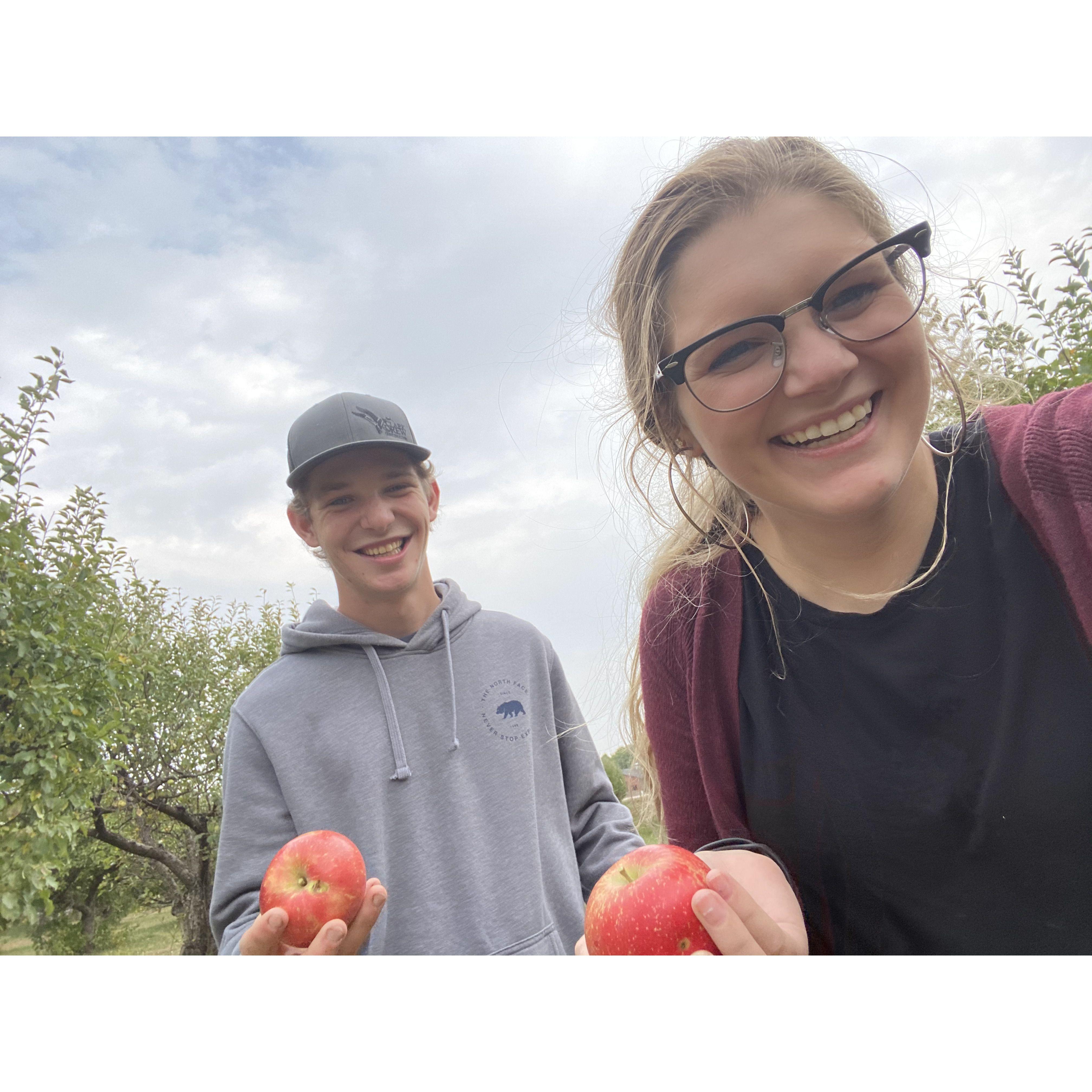 apple picking