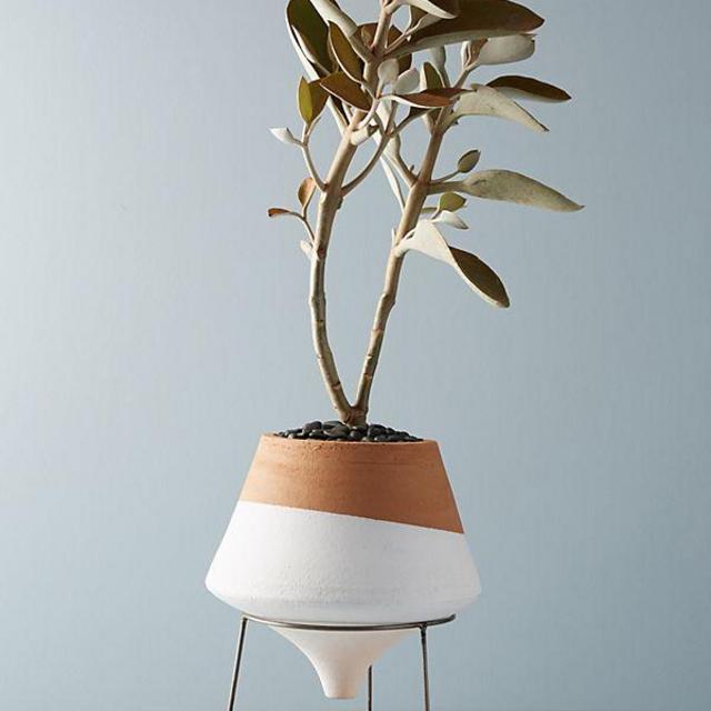 Dipped Clay Pot + Stand