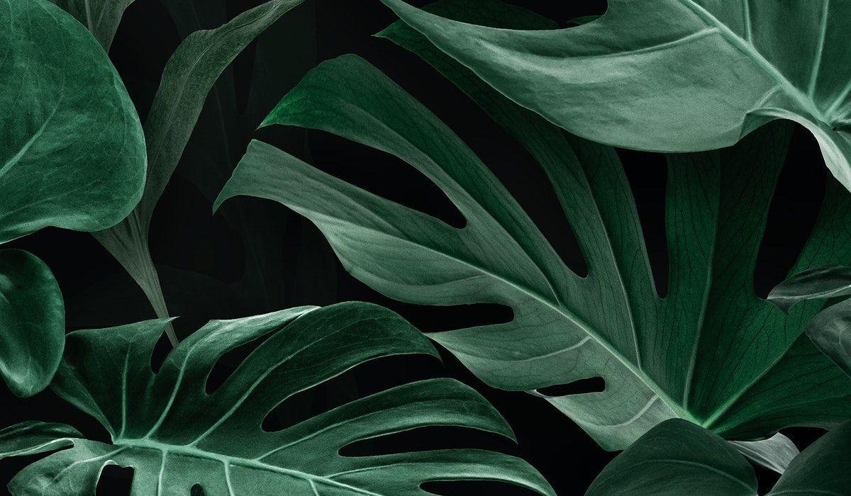 Footer image