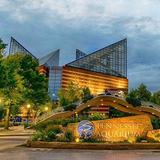 Tennessee Aquarium