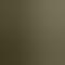 Ficus Green