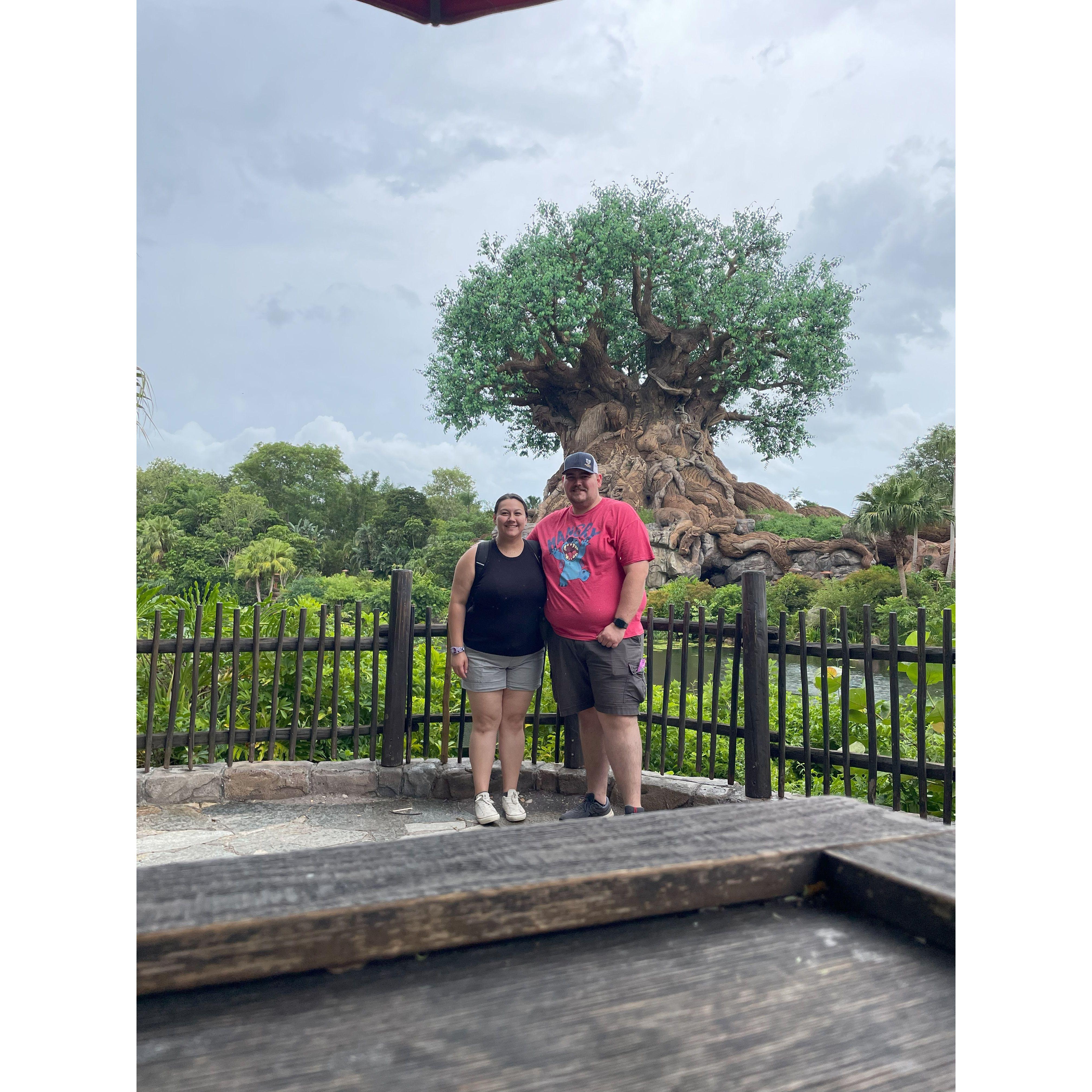 Our 2nd trip to Disney World! Animal Kingdom