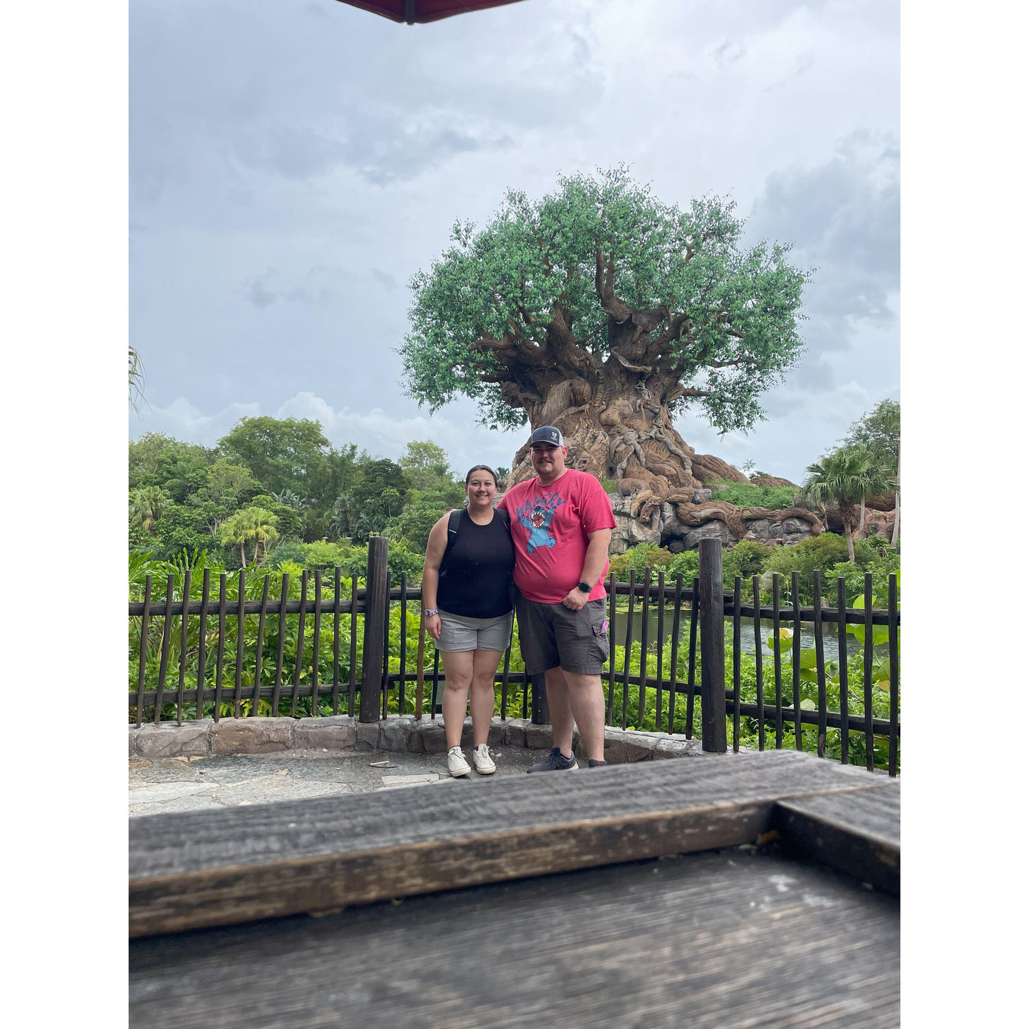 Our 2nd trip to Disney World! Animal Kingdom