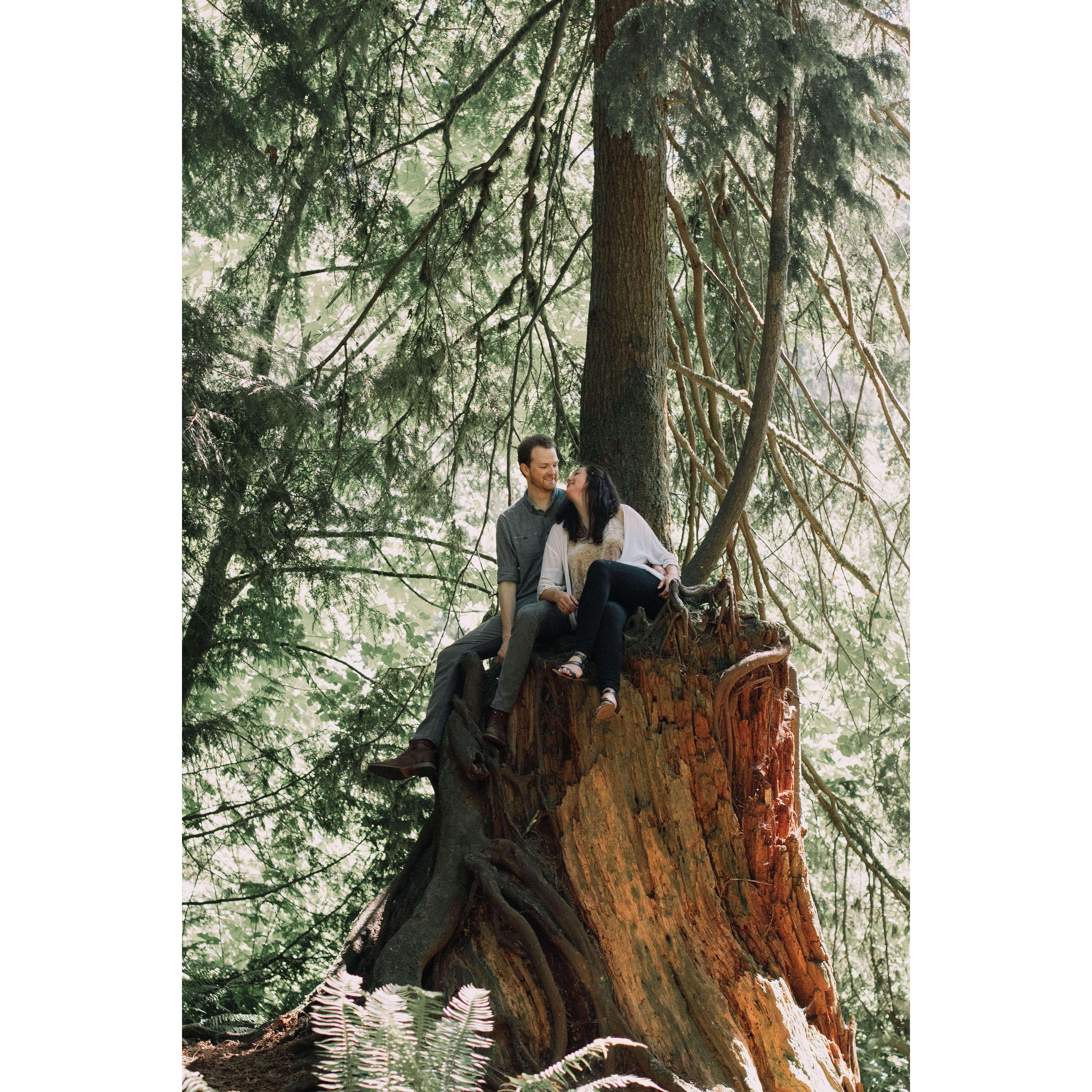 Snoqualmie Falls (2018)