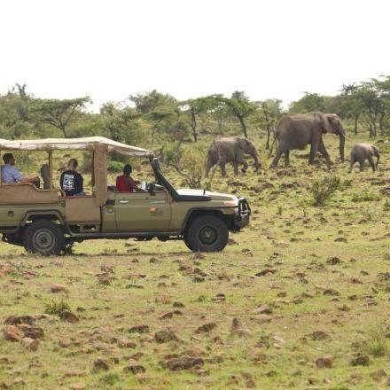 Honeymoon Fund: 1 Day of Safari in Kenya