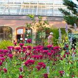 New England Botanic Garden at Tower Hill