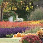 Cheekwood Gardens & Estates