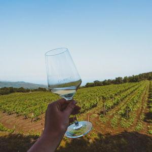 Wine Tastings in Sicily