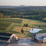 Winery Tours and Tastings