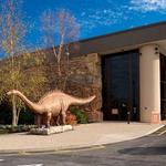 Creation Museum