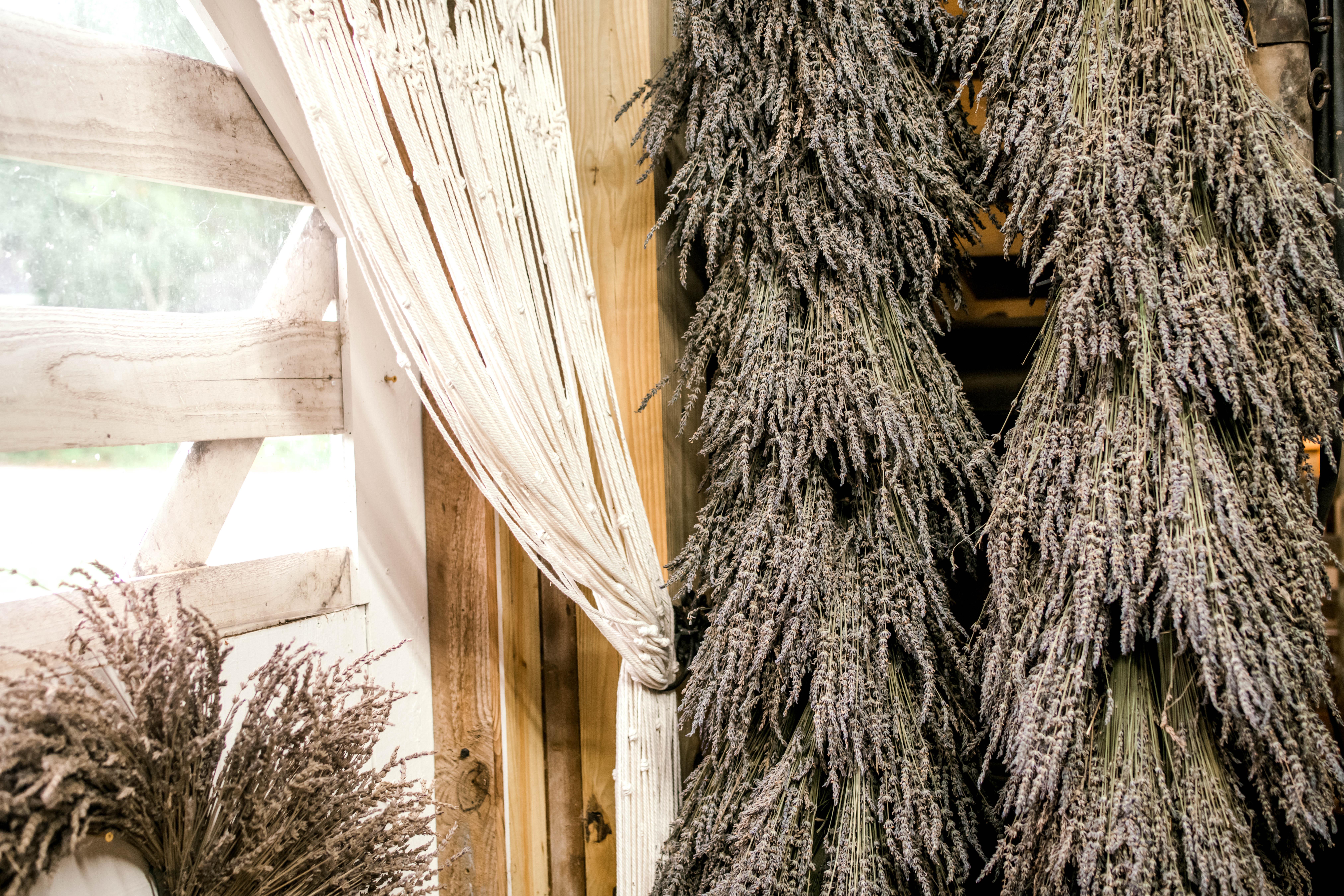 The Wedding Website of Laney Anderson and Daniel Swann