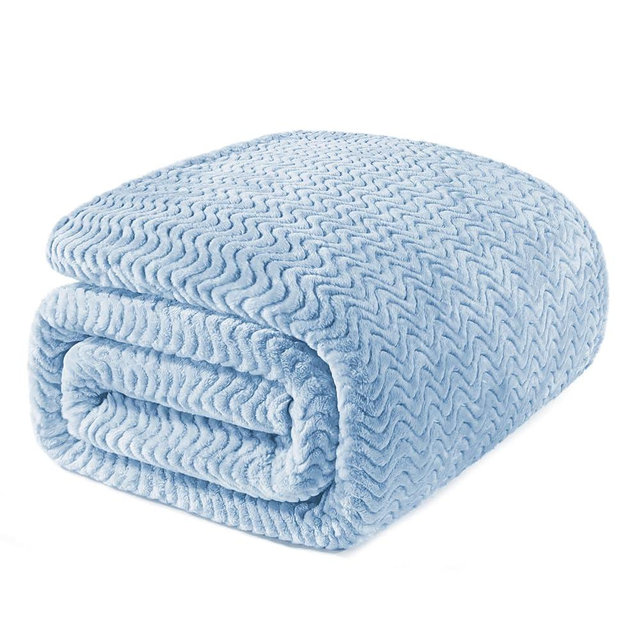 Exclusivo Mezcla Fleece Bed Blanket Queen Size, Lightweight Jacquard for Spring Summer, Soft Cozy Breathable Blankets, Light Blue, 90x90 Inches