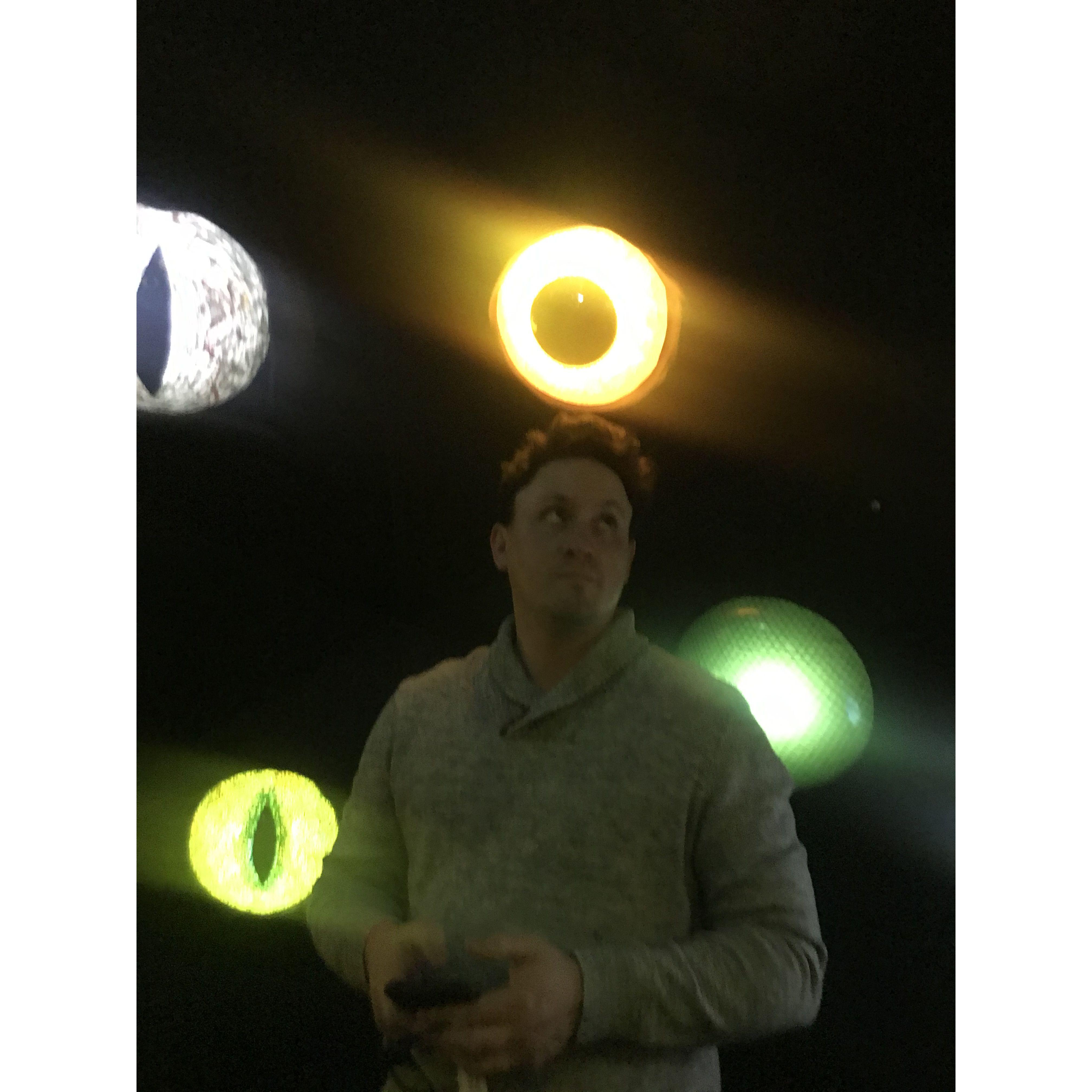 Meow Wolf February 2020