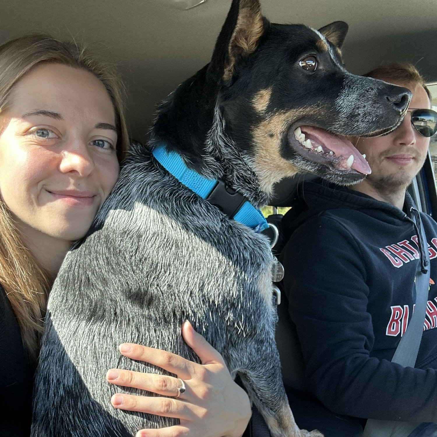 The drive home on the day we adopted Koda. This is still his favorite way to ride in the car.