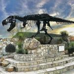 Museo del Desierto