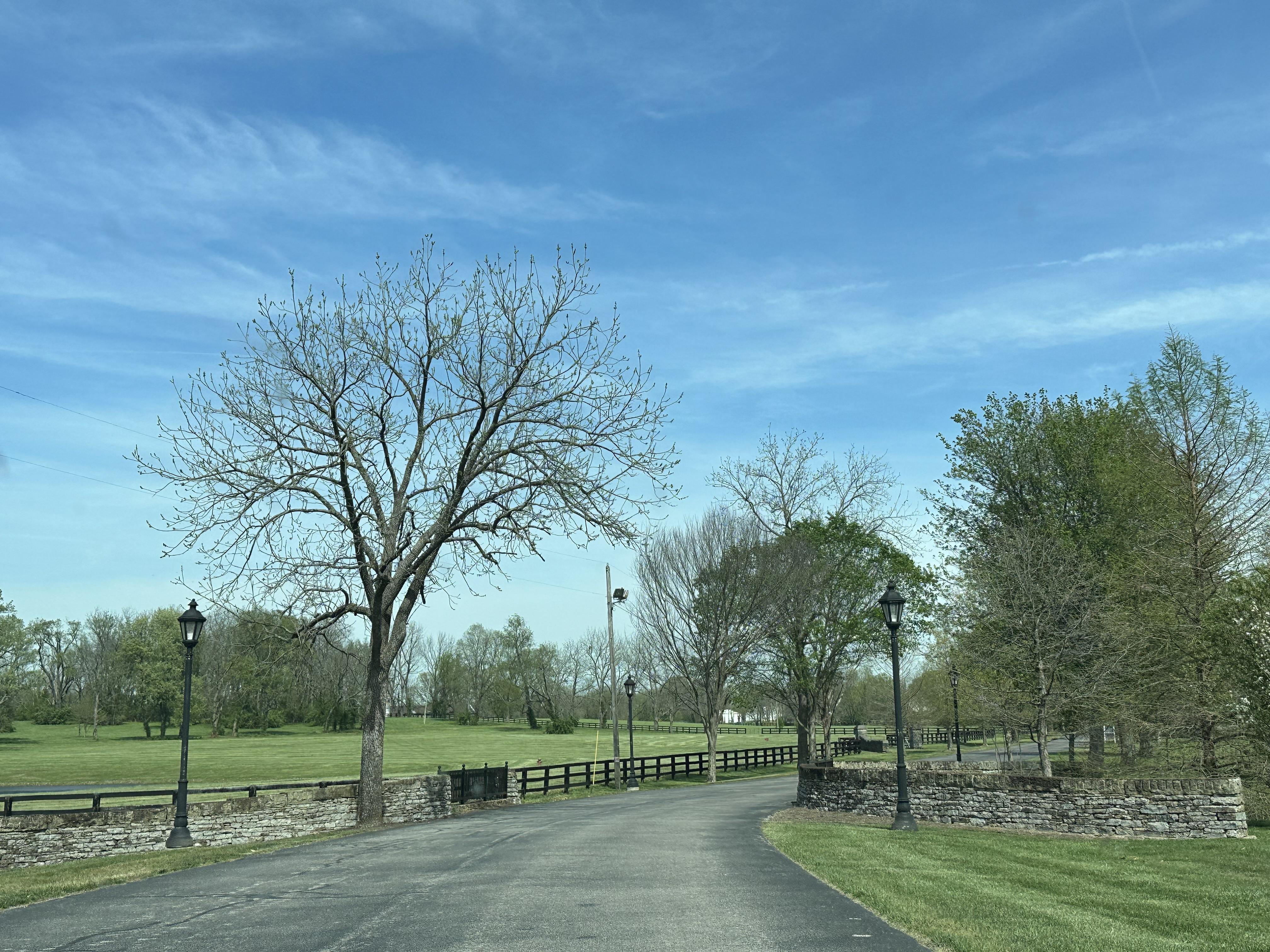 The Wedding Website of Lindsey Schuster and Mark Mansur