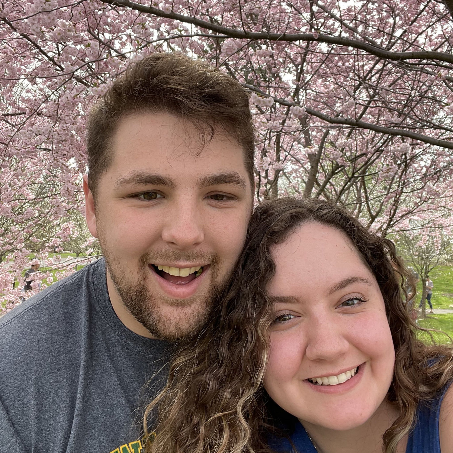 Cherry blossom festival in Buffalo