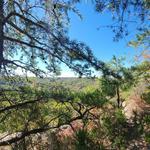 Natural Bridge State Resort Park