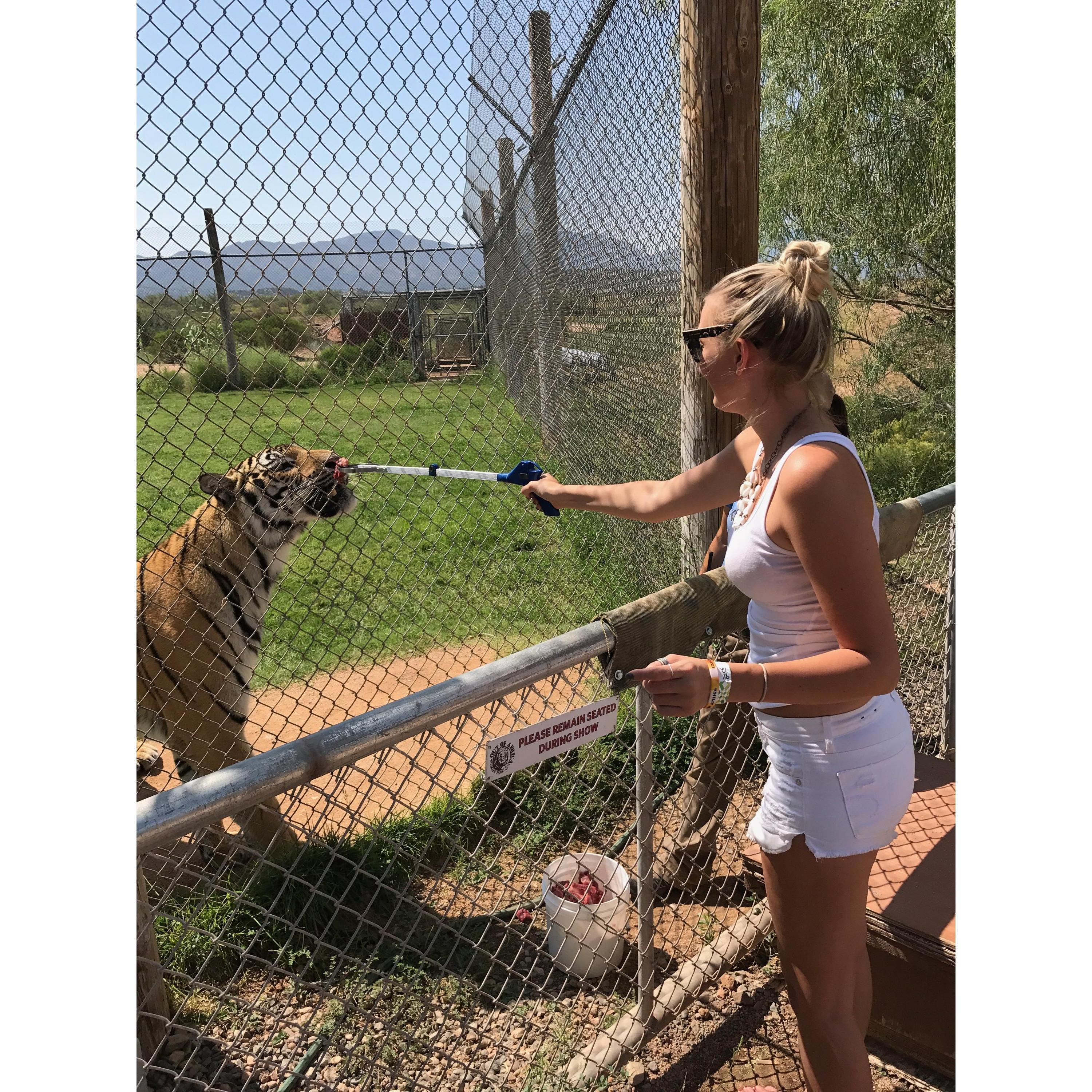 Out of Africa Wildlife Park in Arizona