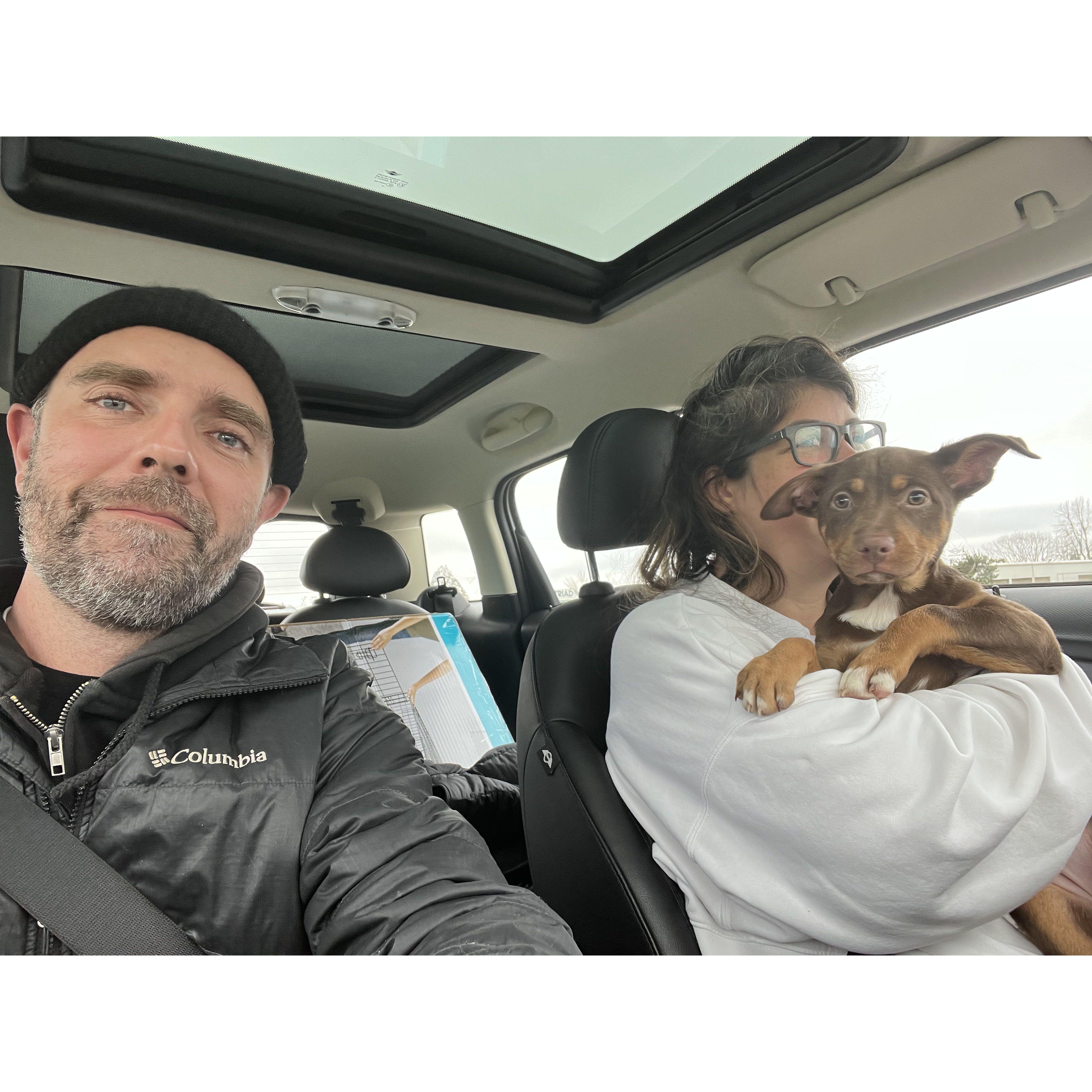 Bringing Ella home from Lucky Paws Rescue