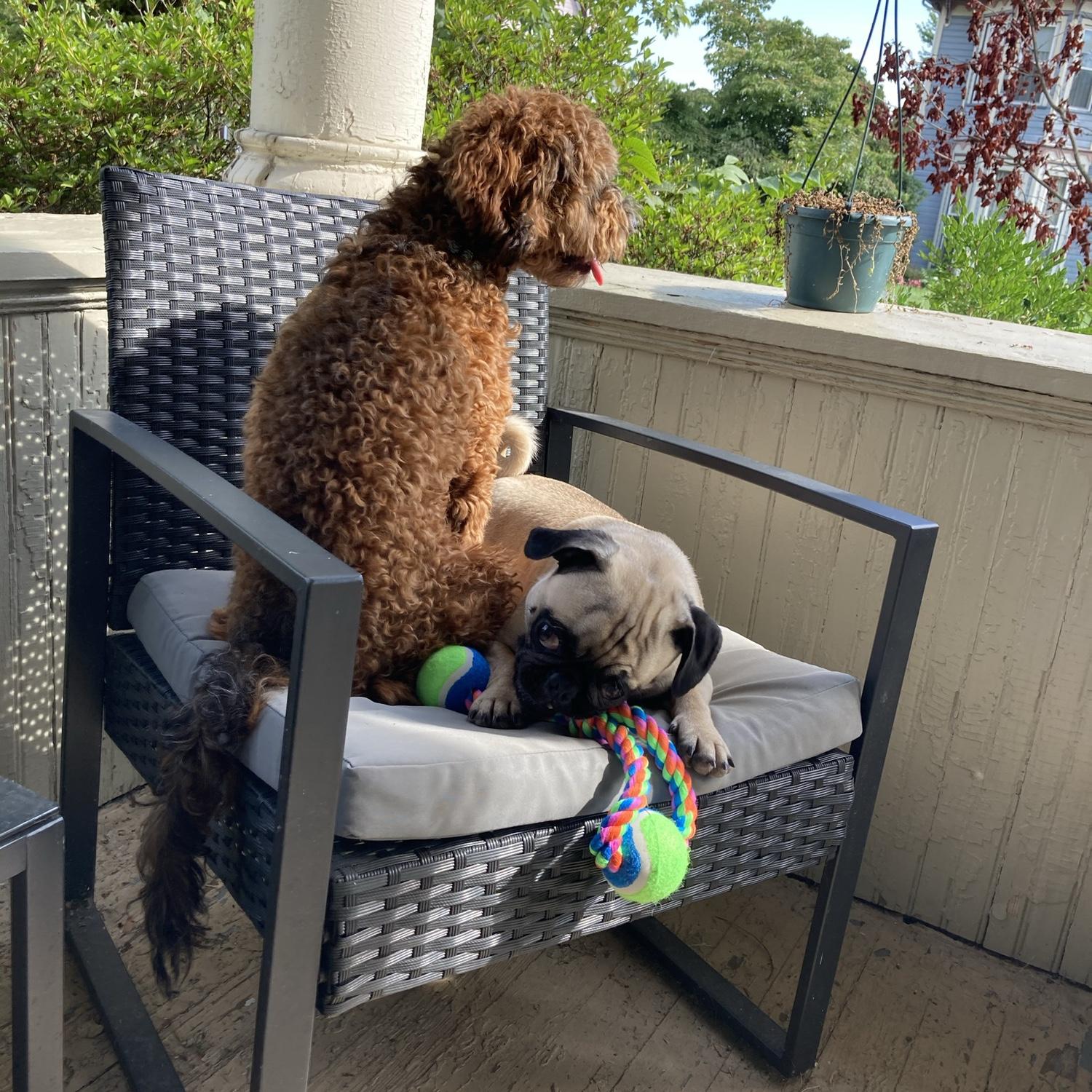 Reuben and Reggie!