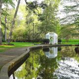 Azalea Park
