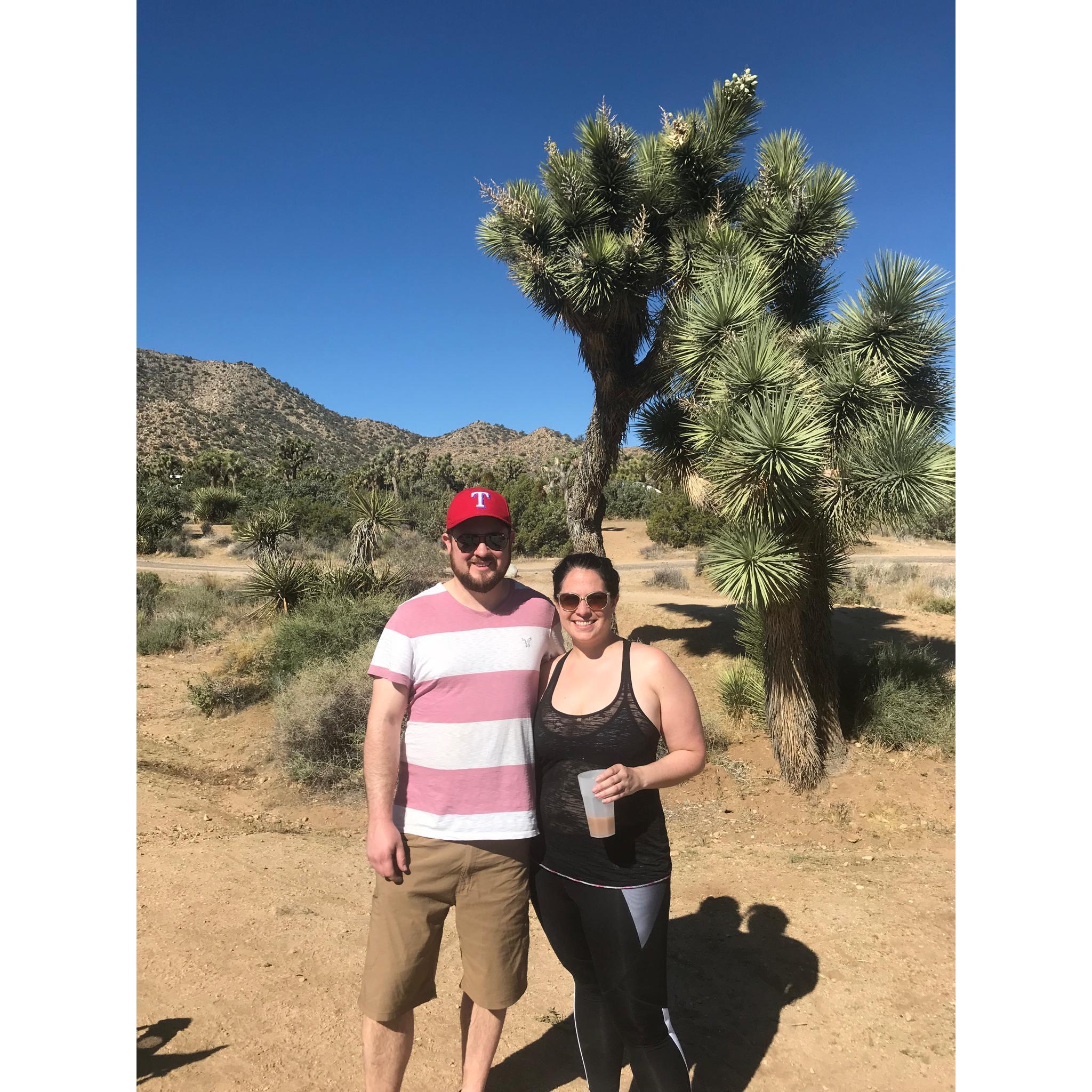 Joshua Tree...terrified of the potential snakes/scorpions, but all we found were great friends and really cool trees.