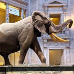 Smithsonian National Museum of Natural History
