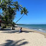 Pacific Harbour Beaches