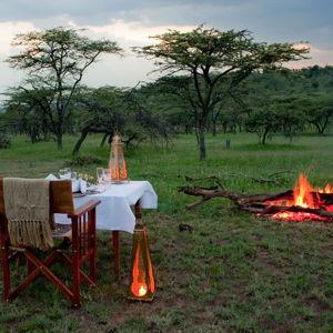 One Night African Bush Dinner