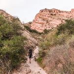 Whiting Ranch Wilderness Park