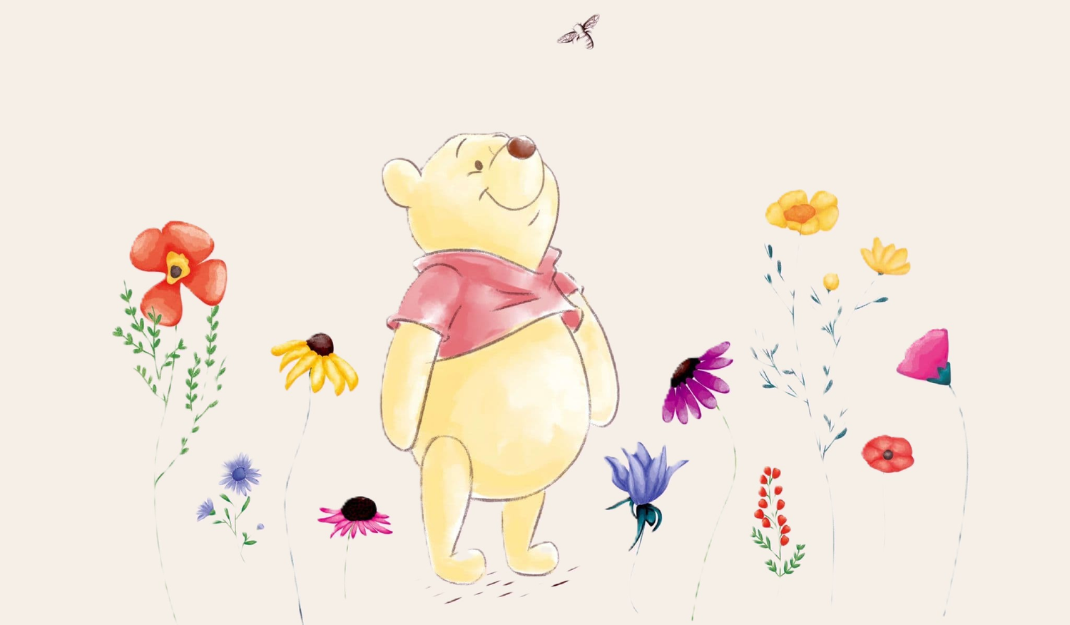 Footer image