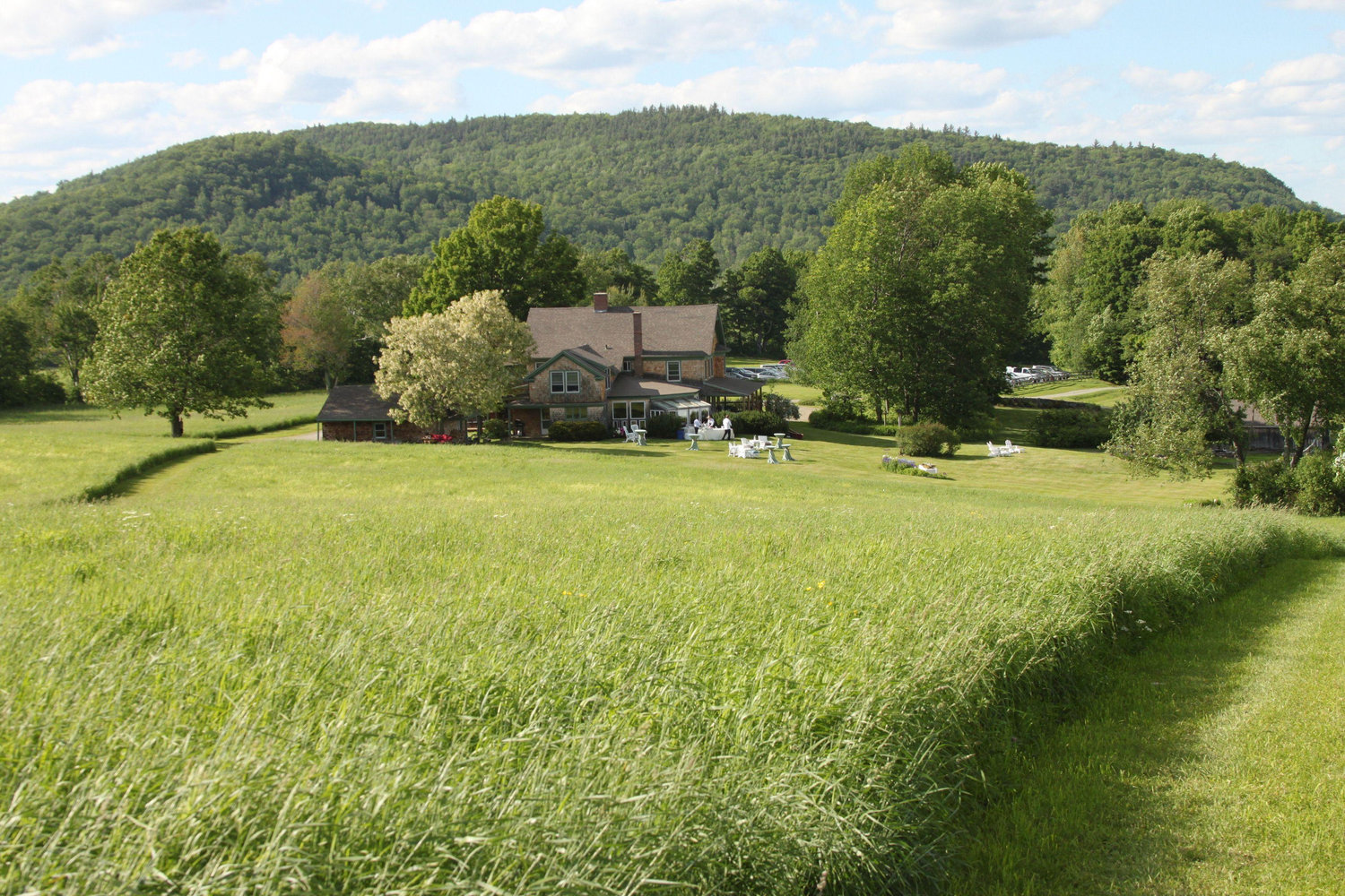 The Wedding Website of Rose Hart and Samuel Pierog