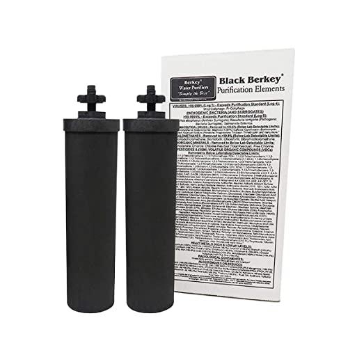 Berkey Authentic Black Purification Elements - Berkey Water Purifier Replacement Filters (Pack of 2)