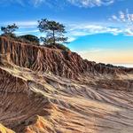 Torrey Pines State Natural Reserve