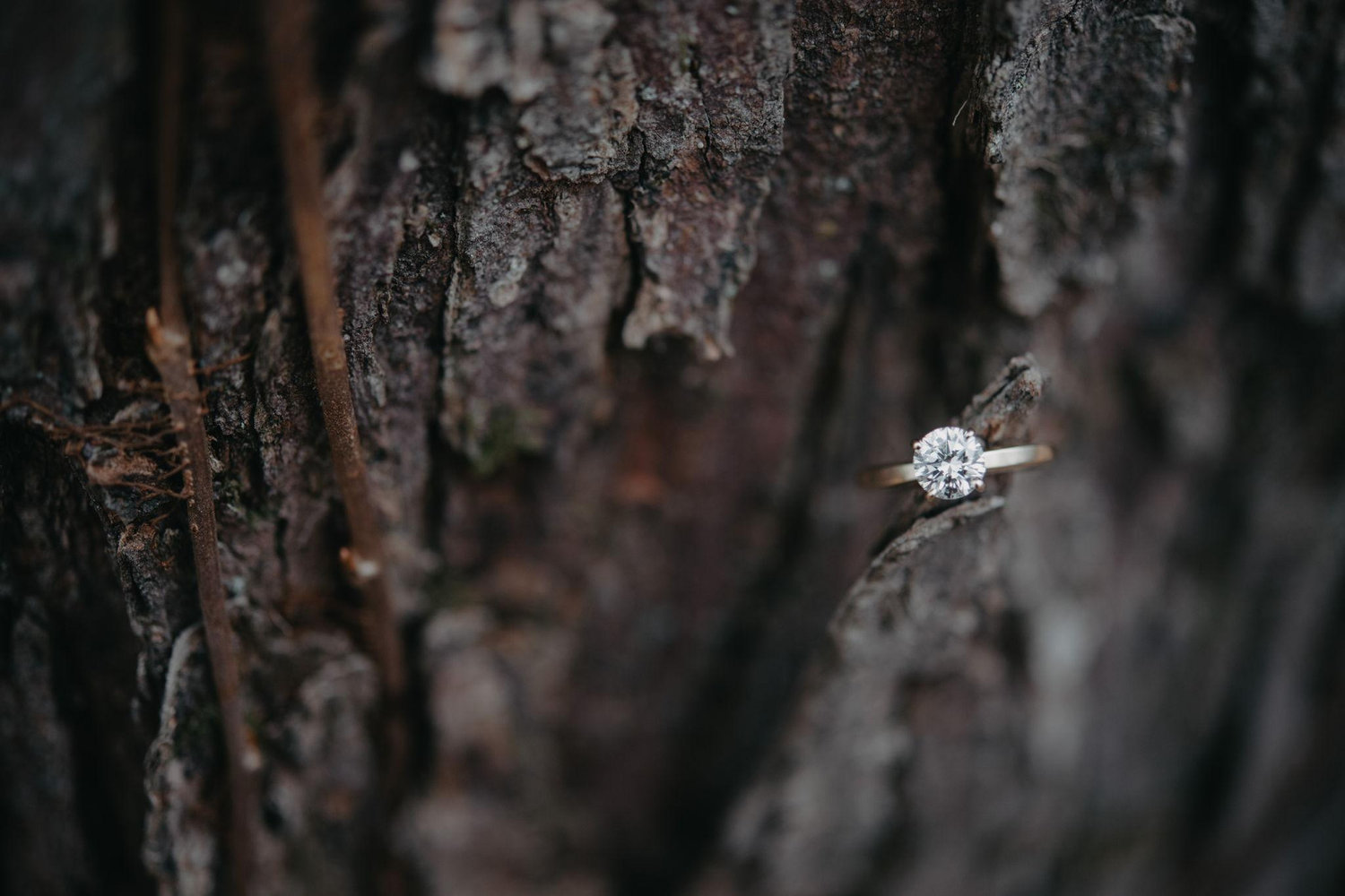 The Wedding Website of Chloe Brookover and Porter Willink