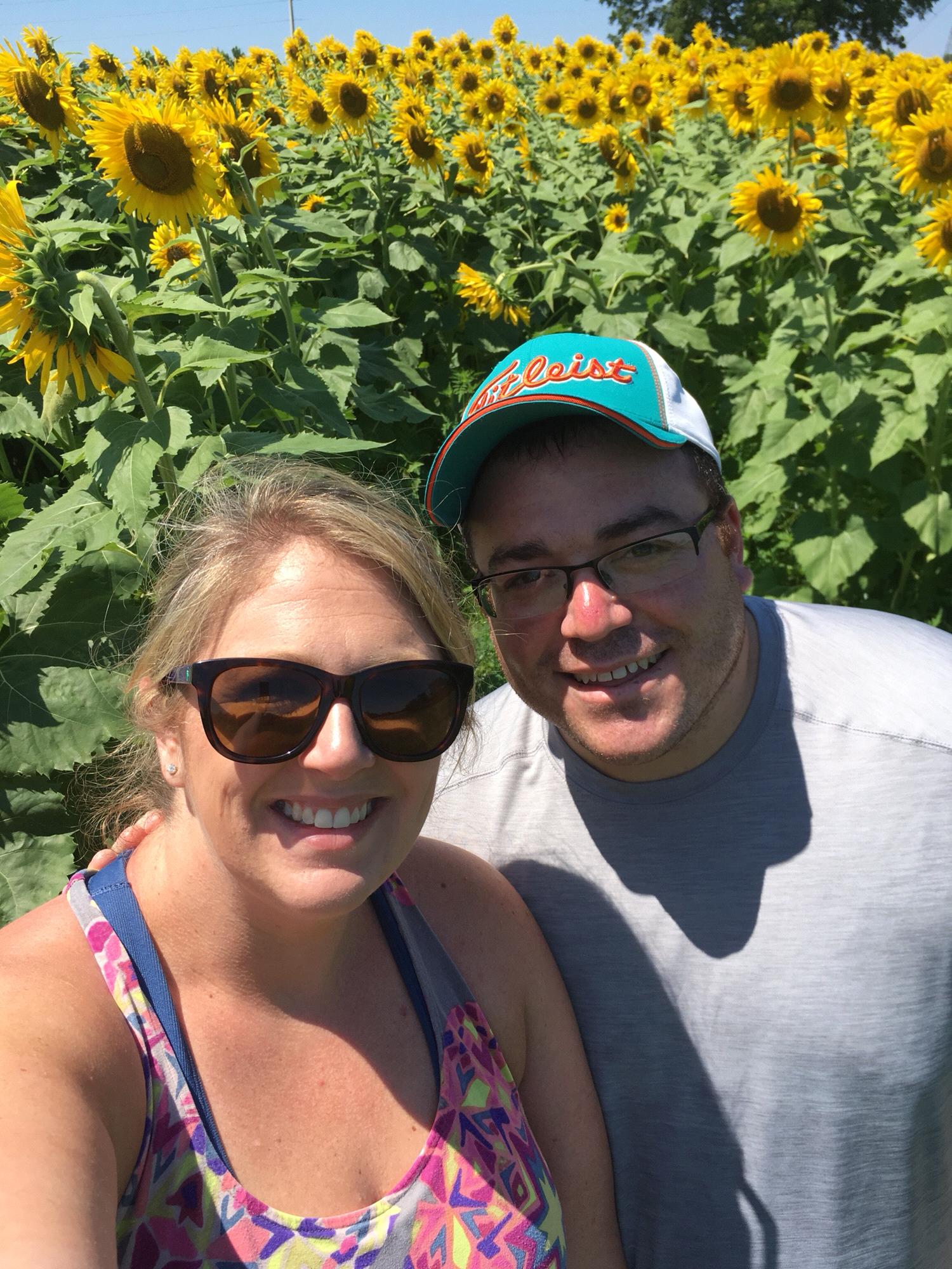 Sunflower field in Raleigh NC
