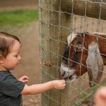 Linvilla Orchards