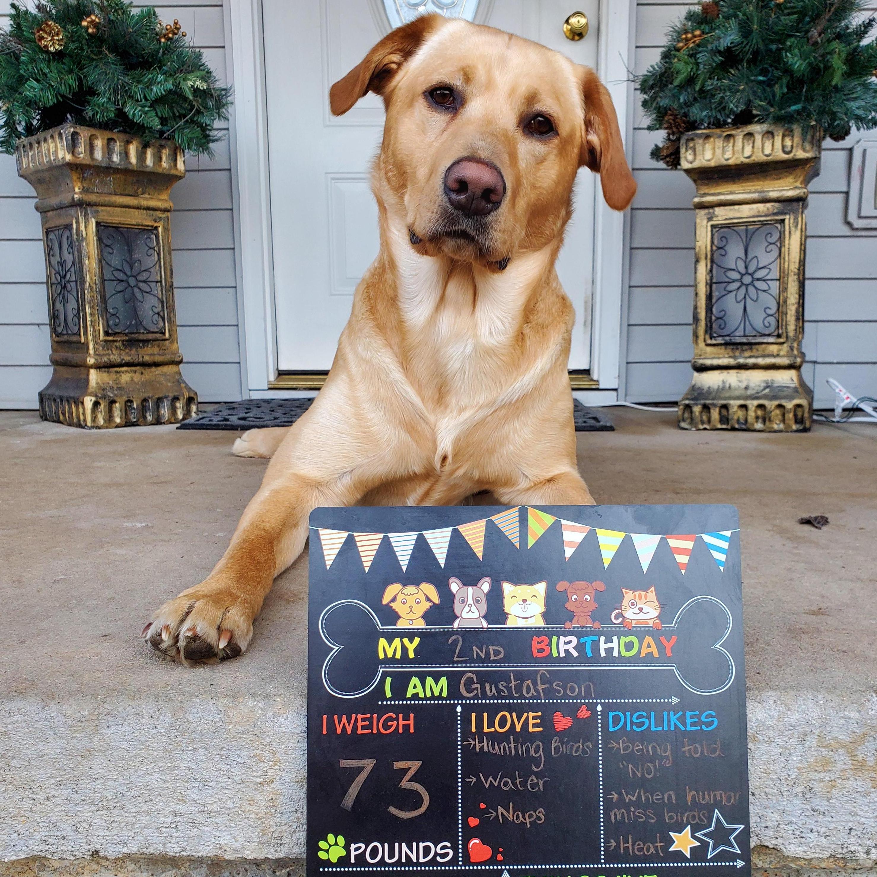 Gus' 2nd Birthday, 2021