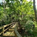 Turkey Creek Sanctuary