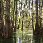 Jean Lafitte National Historical Park and Preserve
