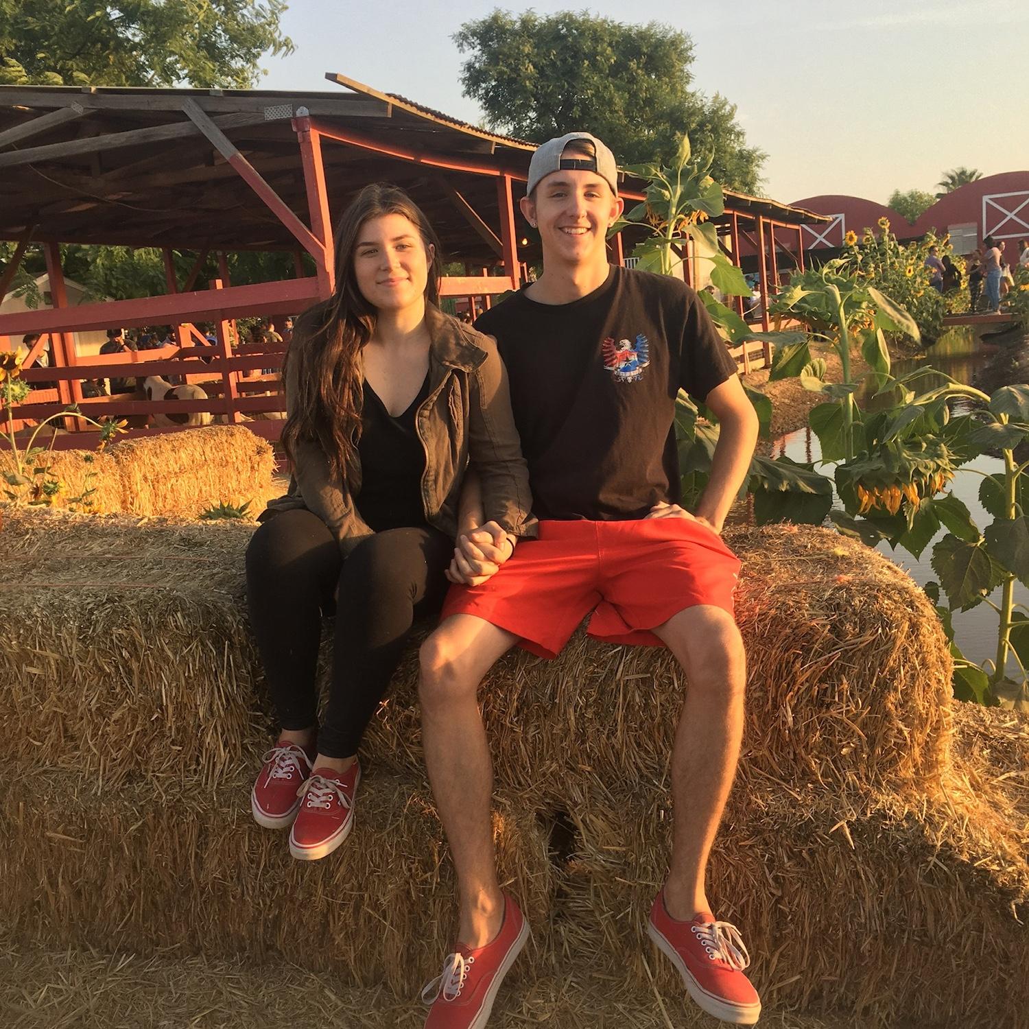 Pumpkin Patch