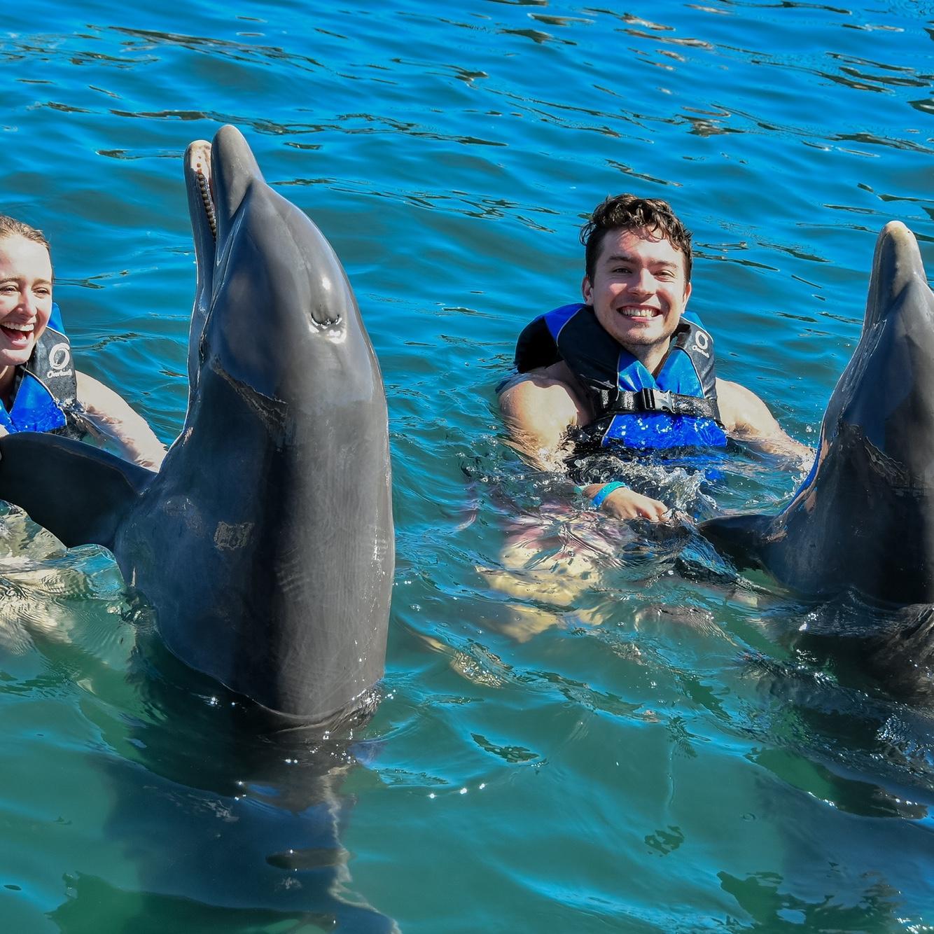 Dan gave in and let Petra fulfill her childhood dream of swimming with the dolphins.