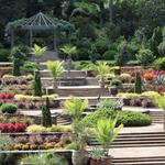 Sarah P. Duke Gardens