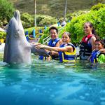 Sea Life Park Hawaii