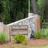 Paynes Prairie Preserve State Park